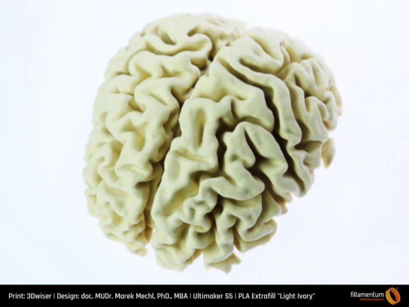 PLA_Extrafill_Light_Ivory_3Dwiser.com_brain_2-Portugal-Espana-Evolt-Impressao-3D