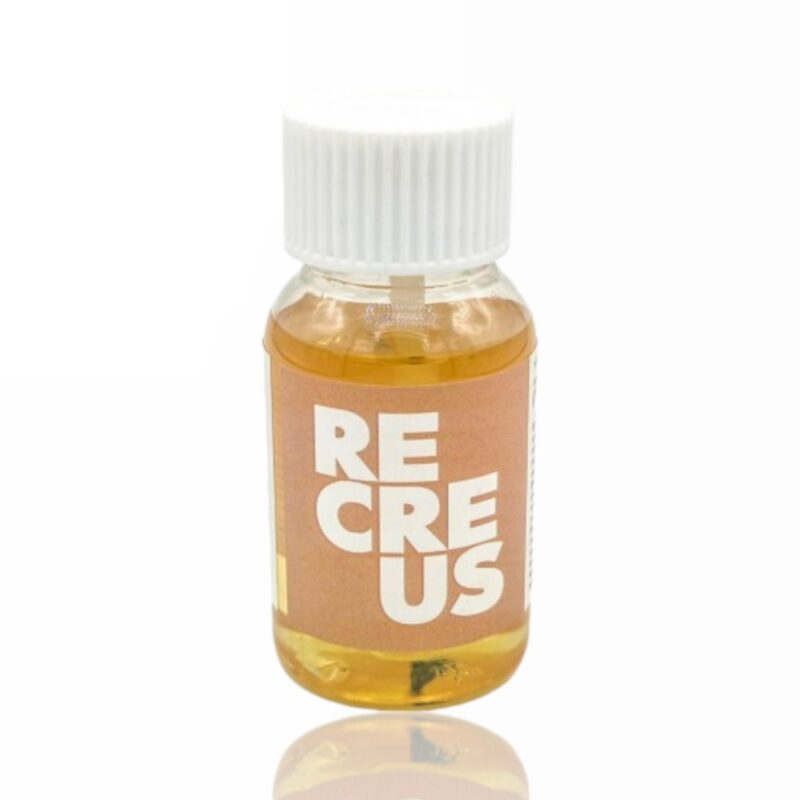 pp3d primer recreus evolt portugal espana filamento impressao 3d