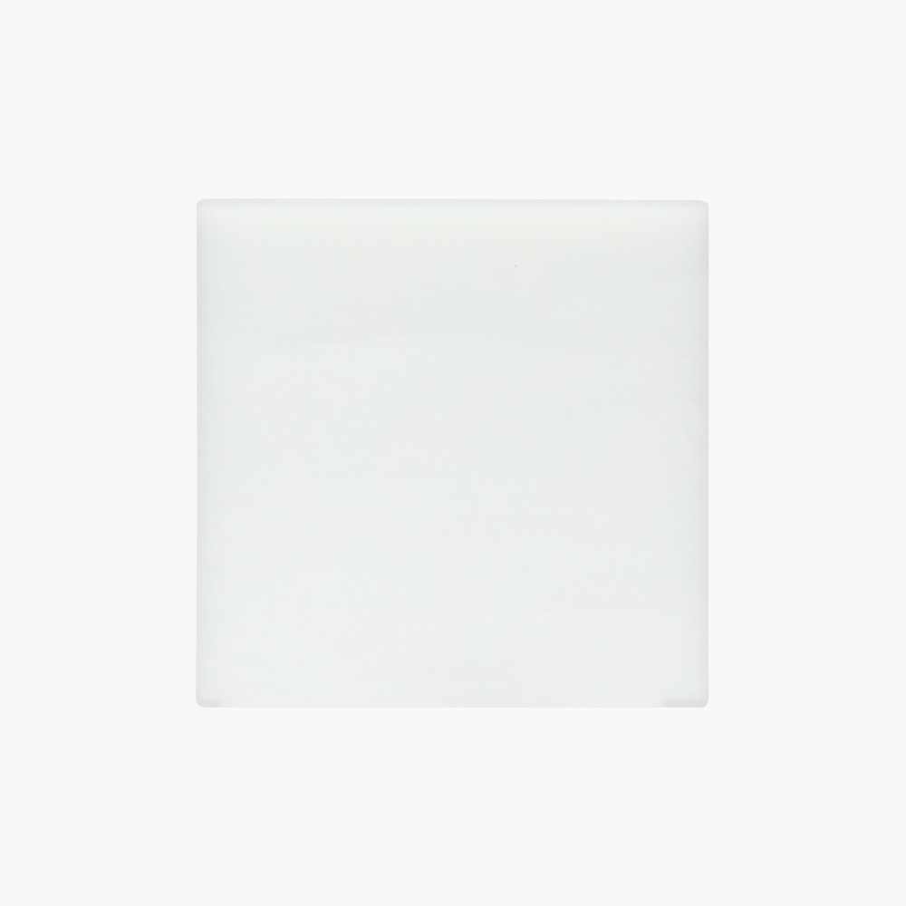 SLA010 (WEBSITE EVOLT)