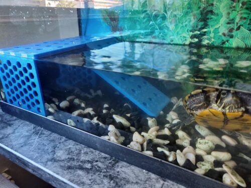 PLA FIL3D 4032D 1kg Azul - Tucab photo review